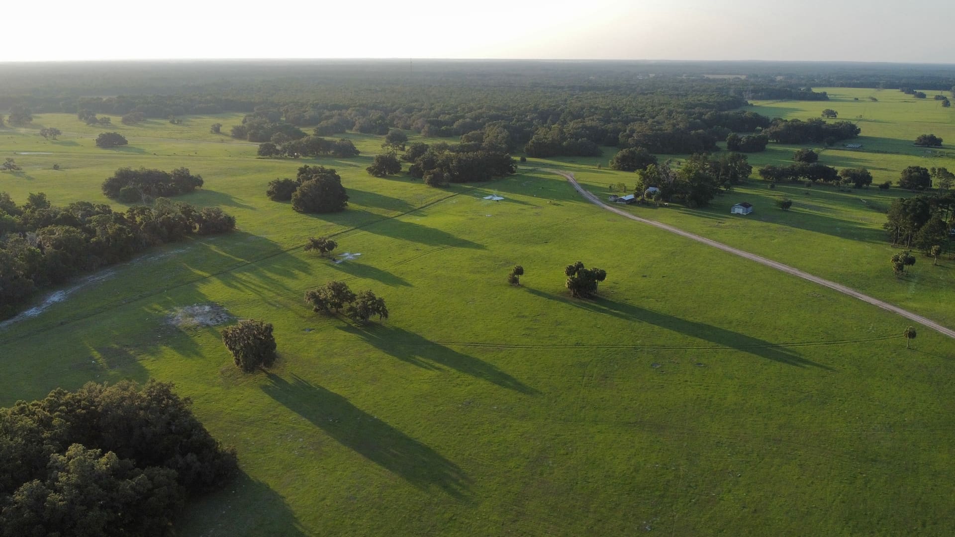 Central Florida Land Properties