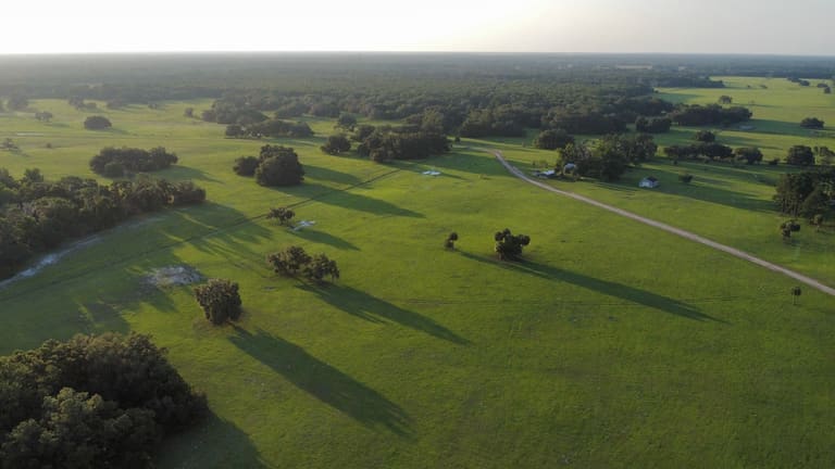 Central Florida Real Estate