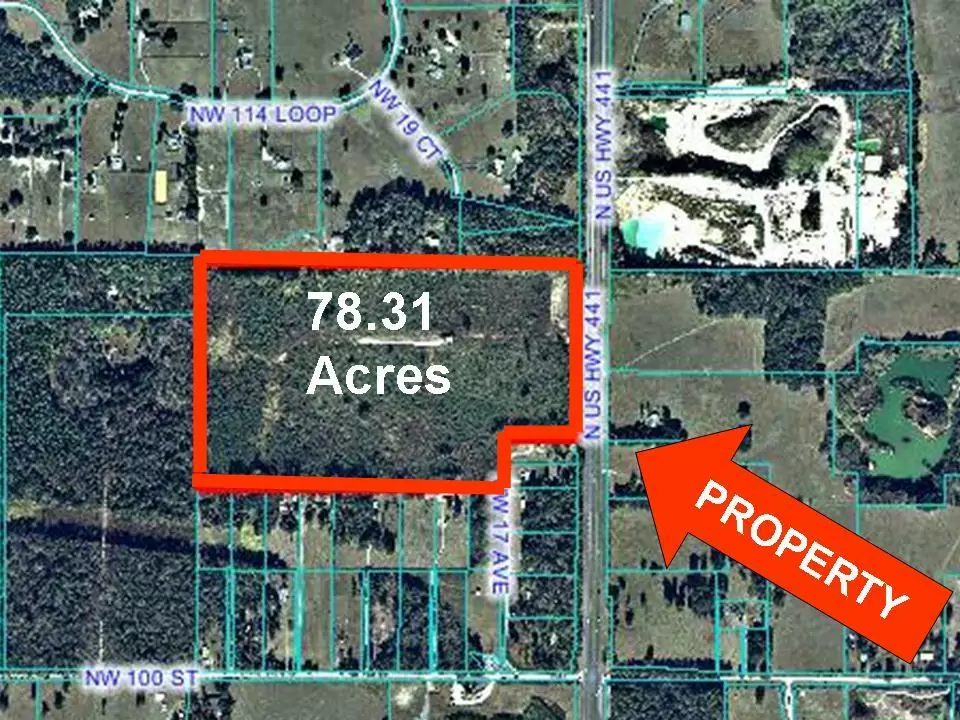 Bank Owned 78 Wooded Acres